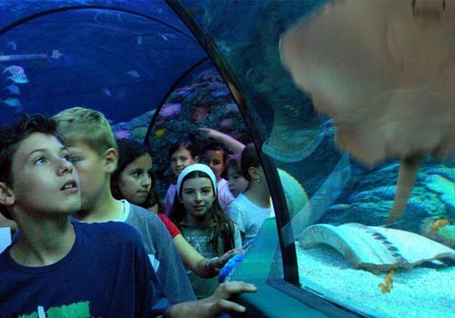 Sea Life Aquarium Gardasee
