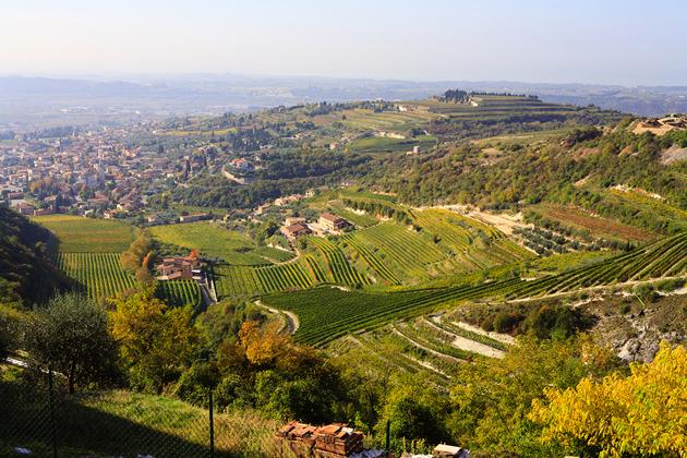 Magnalonga Settembrina - Gourmet wandeling - Negrar, Valpolicella Magnalonga Settembrina - Gourmet wandeling - Negrar, Valpolicella