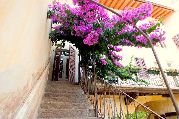 Borgo Alba Chiara Bilo Borgo Alba Chiara Bilo