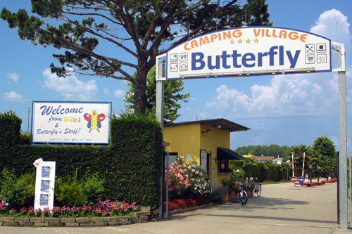 Camping Butterfly Camping Butterfly