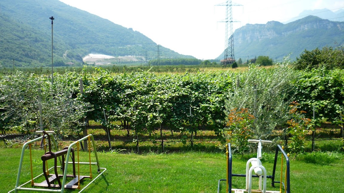 Agriturismo Maso Fontane