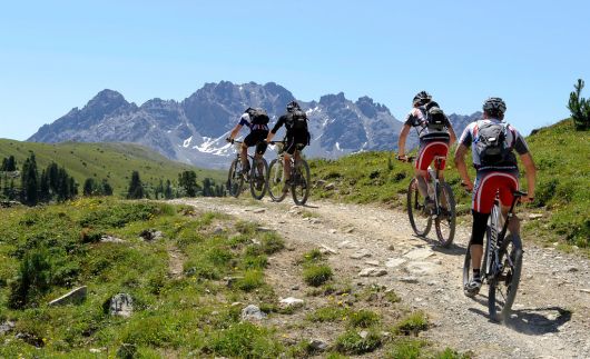 Craft Bike Transalp Craft Bike Transalp